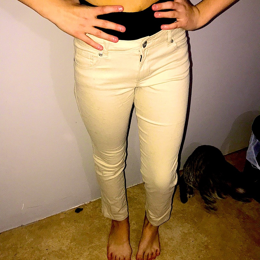 Khakis